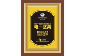 首屆中國國際進(jìn)口博覽會唯一堅果